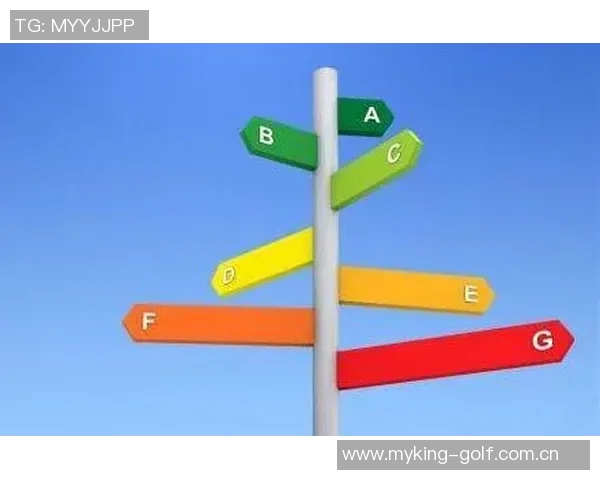 在关键时刻做出明智选择的重要性与不可避免性 在关键时刻做出明智选择的重要性与不可避免性